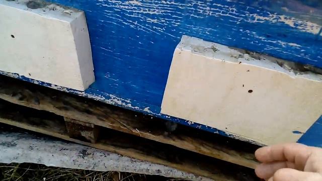 Пасека 11 марта! Цена растёт!