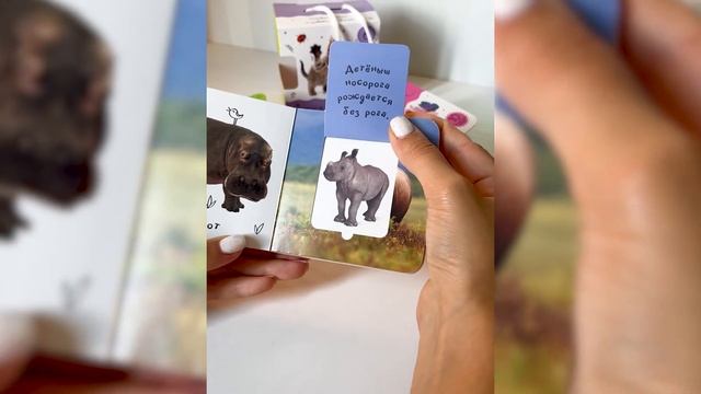 Шоубокс "Мир в картинках" смотреть онлайн