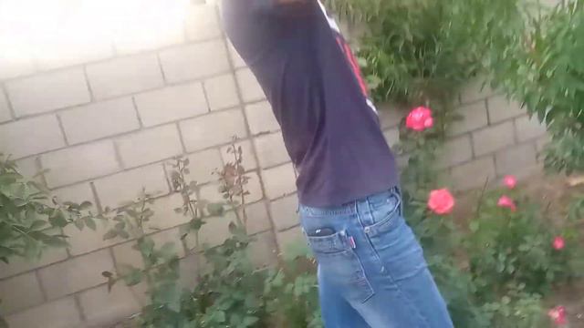 # цыгане а говорят что нету денег смотреть онлайн