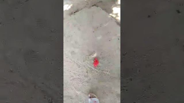 Нашли клад у нас во дворе.И другие вещи. смотреть онлайн