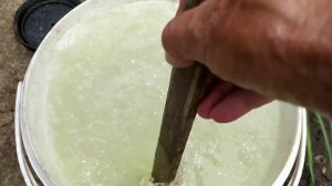 .Обрабатываем Черешню. ДОСТУПНОЕ СРЕДСТВО ОТ ОТ ГНИЛИ.