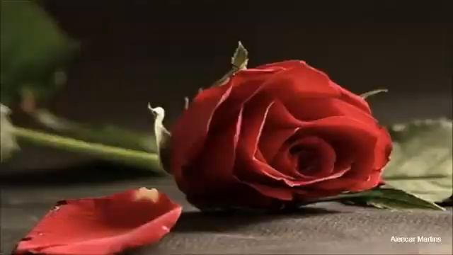 LINDA MÚSICA ROMÂNTICA AMOR E PRECE FRANCISCO CUOCO смотреть онлайн