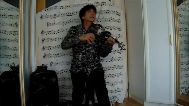 SIA-Bird set free ( Michael Rukinov violin acoustic cover ) смотреть онлайн