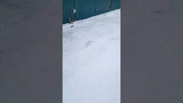 базар Москва Химки 1990 2000 г смотреть онлайн