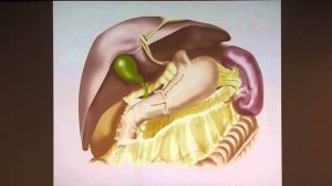 3   05   В А  Кащенко   Реконструкция ЖКТ при Гастрэктомии