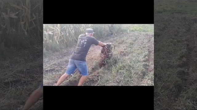 Как мы копаем картошку!!!