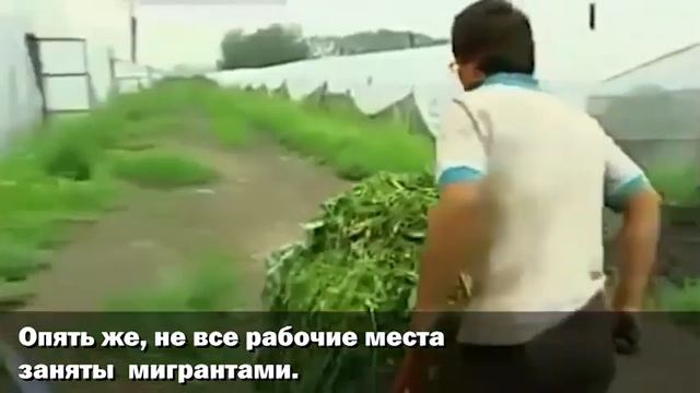 Коммунисты хотят продать Хабаровский край мигрантам. 16+ смотреть онлайн