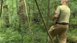 16. Рейтинг Баженова. Могло быть хуже. С ног на голову