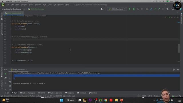 Python #15: functions смотреть онлайн