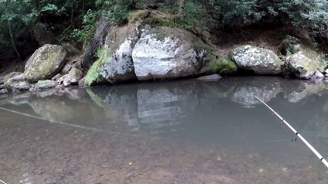 Trout Magnet | 6 COLOR CHALLENGE! смотреть онлайн