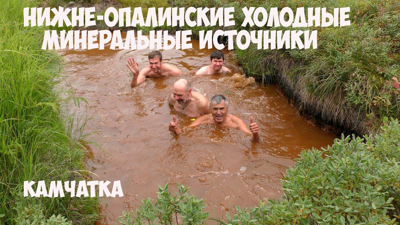 Камчатка Нижне Опалинские минеральные источники смотреть онлайн