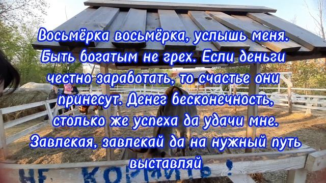 Нарисуйте эту цифру на руке. Мандариновое время. смотреть онлайн