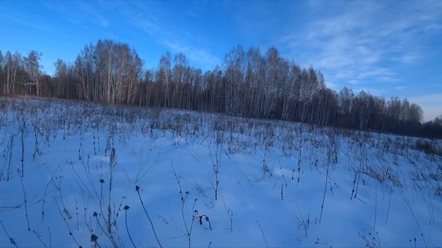 Зимняя охота на тетерева на лунках. A Winter Black Grouse Hunt смотреть онлайн