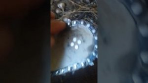 какое для смазки цепи лучше лить масло для фирменной и китайской бензопилы и последствия