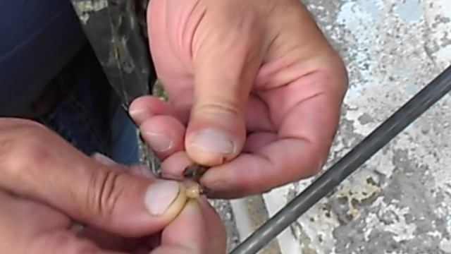 Лучшие наживки для рыбалки. Личинка ручейника. смотреть онлайн