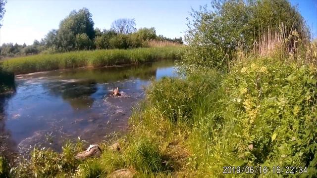 Как амстафф Алька поехала искать выход к морю, а нашла монастырскую голубятню смотреть онлайн