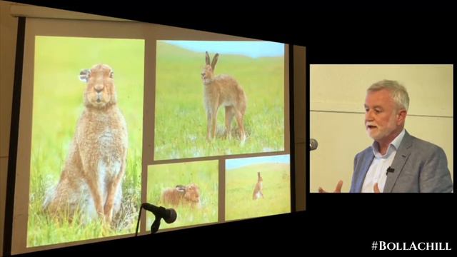 Micheál Ó Briain discusses the special biodiversity of Achill. смотреть онлайн