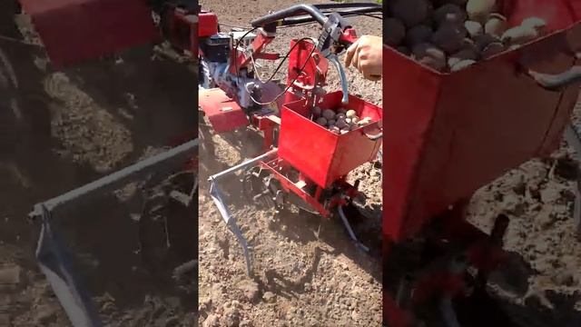 Посадка картошки самодельной картофелесажалкой. Мотоблок "УГРА" смотреть онлайн
