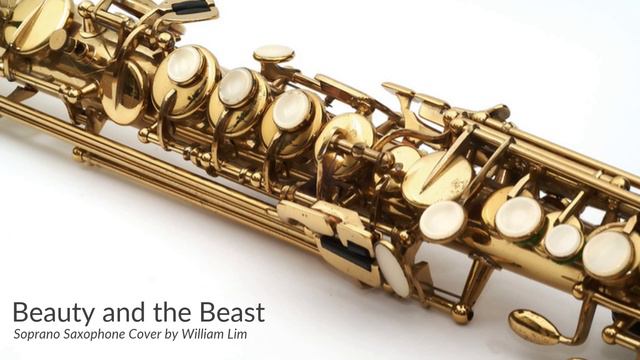 Beauty and the Beast (Soprano Saxophone Instrumental Cover by William Lim) смотреть онлайн