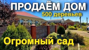 МОЯ МЕЧТА, ЧТОБЫ НА УЧАСТКЕ БЫЛО ПОСАЖЕНО 500 ПЛОДОВЫХ ДЕРЕВЬЕВ !!!