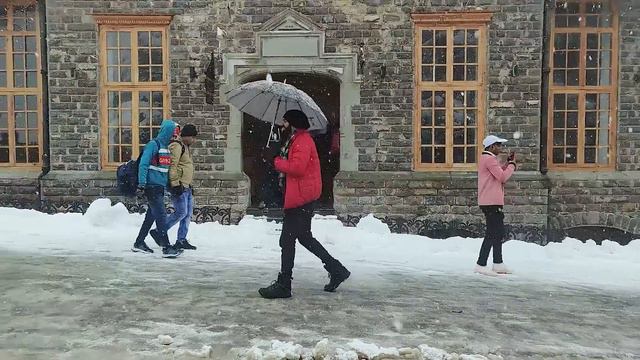 SHIMLA COMPLETE TRAVEL PLAN 2023 смотреть онлайн