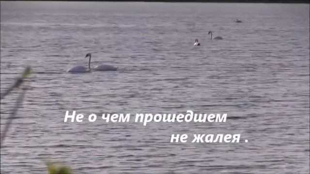 стих к дню рождения сестры смотреть онлайн