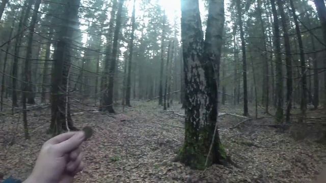 Копалка 20 11 14 Павлово-Посадский район смотреть онлайн