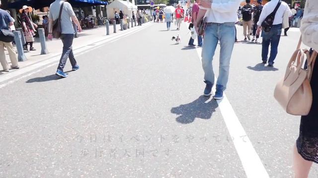 SUB)【とある1日】紫キャベツのマリネ // 横浜ランニング // 中華食べ放題【Vlog】