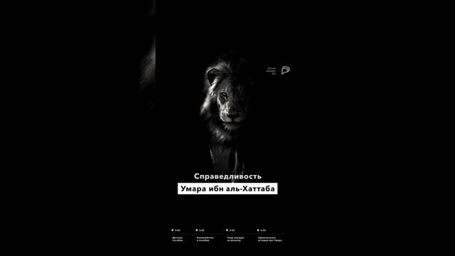 Откуда это пришло? ответы. смотреть онлайн