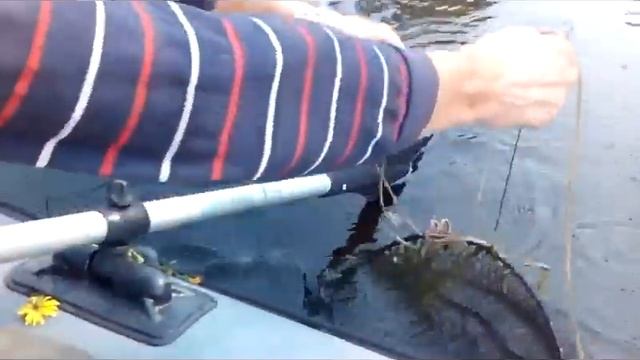 Сравнение верш! Ловушка для рыбы. Рыбалка на вершу смотреть онлайн