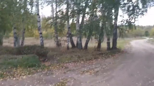 Прогулка вдоль реки Ворона смотреть онлайн