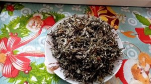 Лапчатка гусиная-противосудорожная трава.