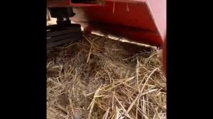 Откорм бычков. Сенодробилка. Измельчитель сена.