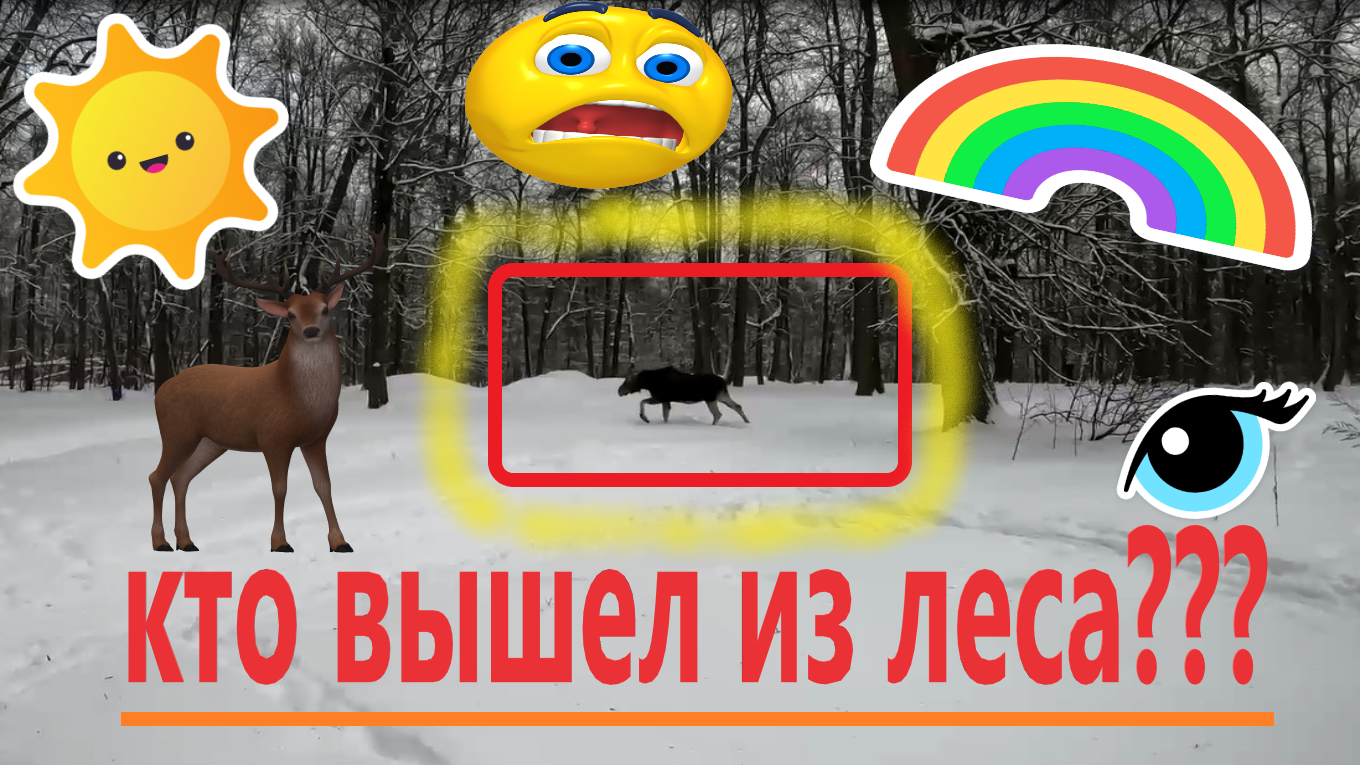 ЛОСЬ вышел на лыжню!!! Прогулка на лыжах по Лосином острову в начале февраля 2024 смотреть онлайн