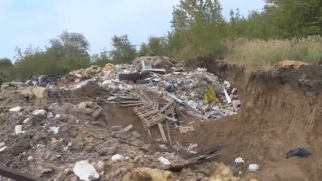 Что твориться в новокуйбышевске