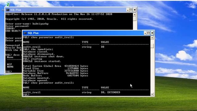 Oracle - Audit dan Flashback смотреть онлайн