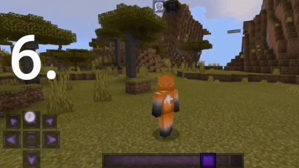 Top10 Fox Skin|Minecraft