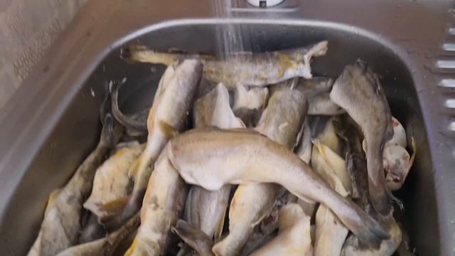 Чищу рыбу для вкусных консервов ! смотреть онлайн