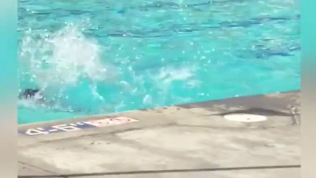 Бассейн смотреть онлайн