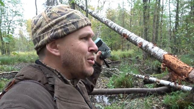 Охота на рябчика #29 Hazelgrouse смотреть онлайн