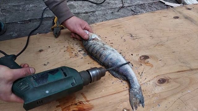 Как быстро почистить судака)) смотреть онлайн