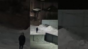 сербская леди