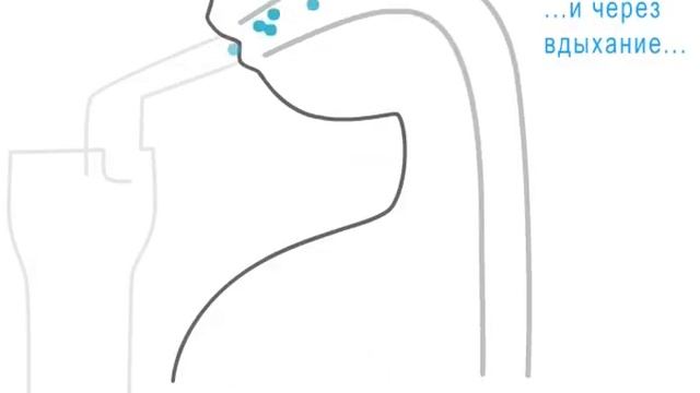 Компрессорные небулайзеры (ингаляторы) OMRON помогут избавиться от любого кашля смотреть онлайн