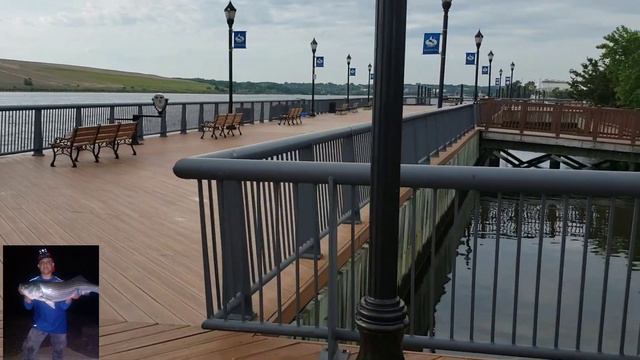 Pesca en carteret fishing pier NJ смотреть онлайн