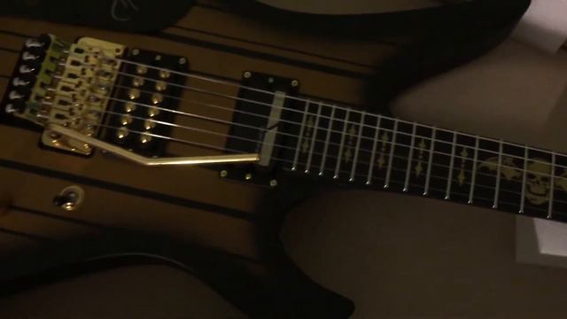 ONLY 100 IN THE WORLD - Signed Limited Addition Schecter Synyster Gates Custom - S смотреть онлайн