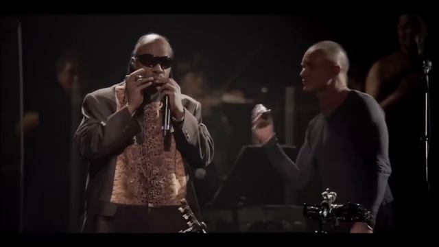 Sting And Stevie Wonder   Fragile   Live 60th Birthday NY