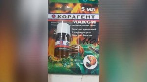Вертимек и Санмайт,Превикур Энерджи,Свитч и др.-защита сада от болезней  и вредителей ????  Часть 2