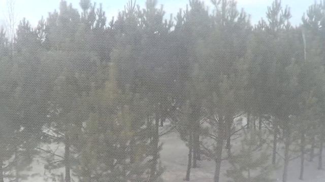 НАШЕЛ 1000000 РУБЛЕЙ!!! смотреть онлайн