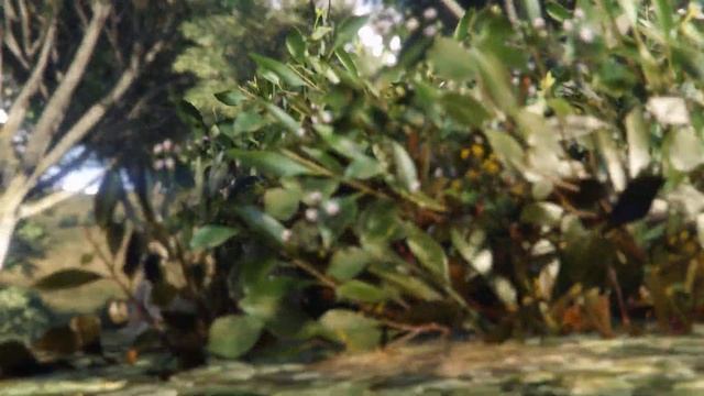 acer nitro 5 rx 560x 4gb Gta V gameplay смотреть онлайн