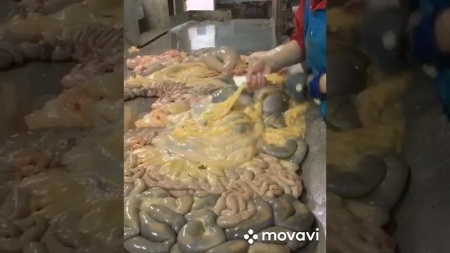 можете у нас заказать кишки для колбасы доставка по городу Екатеринбург бесплатно смотреть онлайн